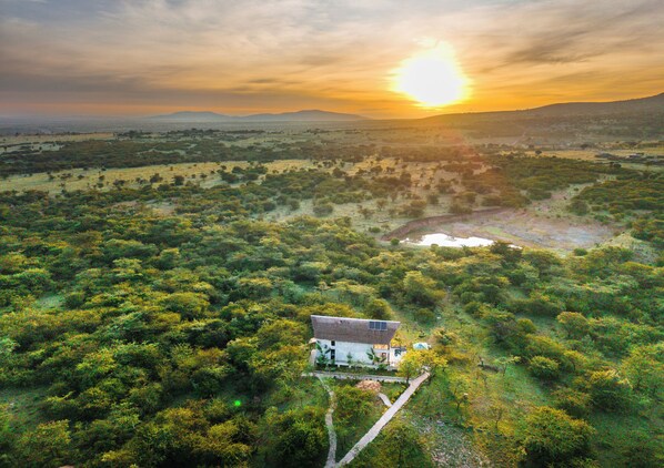 A rural landscape with a house surrounded by dense vegetation and a clear view of the sunset.