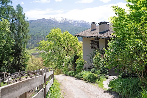 A rustic house with a dirt path leading to it, surrounded by lush greenery and mountains in the background.