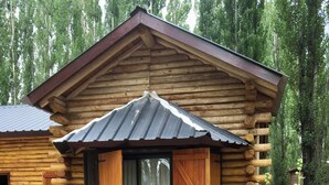 A log cabin with a metal roof, a wooden door, and a window with shutters.