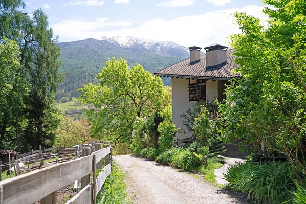 A rustic house with a dirt path leading to it, surrounded by lush greenery and mountains in the background.