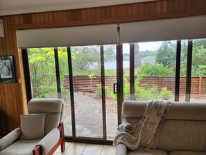 TV connectée, cheminée, livres