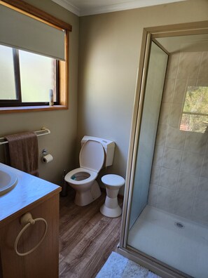 Un baño con inodoro, lavamanos y ducha.