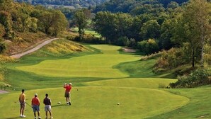 Een golfbaan met een heldere lucht, bomen en een bergketen in de verte.