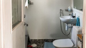 Een kleine badkamer met toilet, wastafel en douche.