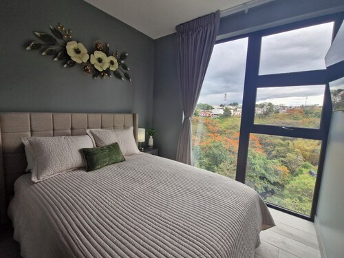 Luxury apartment in San Jose with A/C and Free Parking