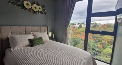 Luxury apartment in San Jose with A/C and Free Parking