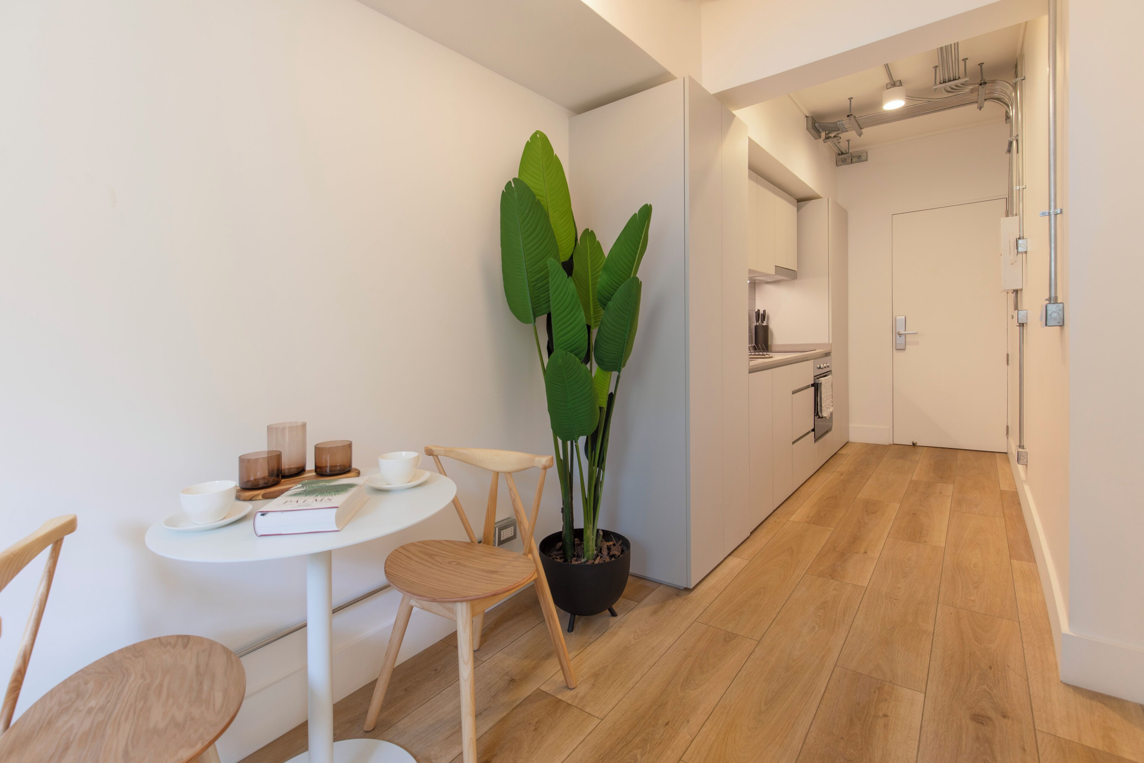 Eine moderne Küche mit weißen Schränken, Holzboden und einem Blumentopf.