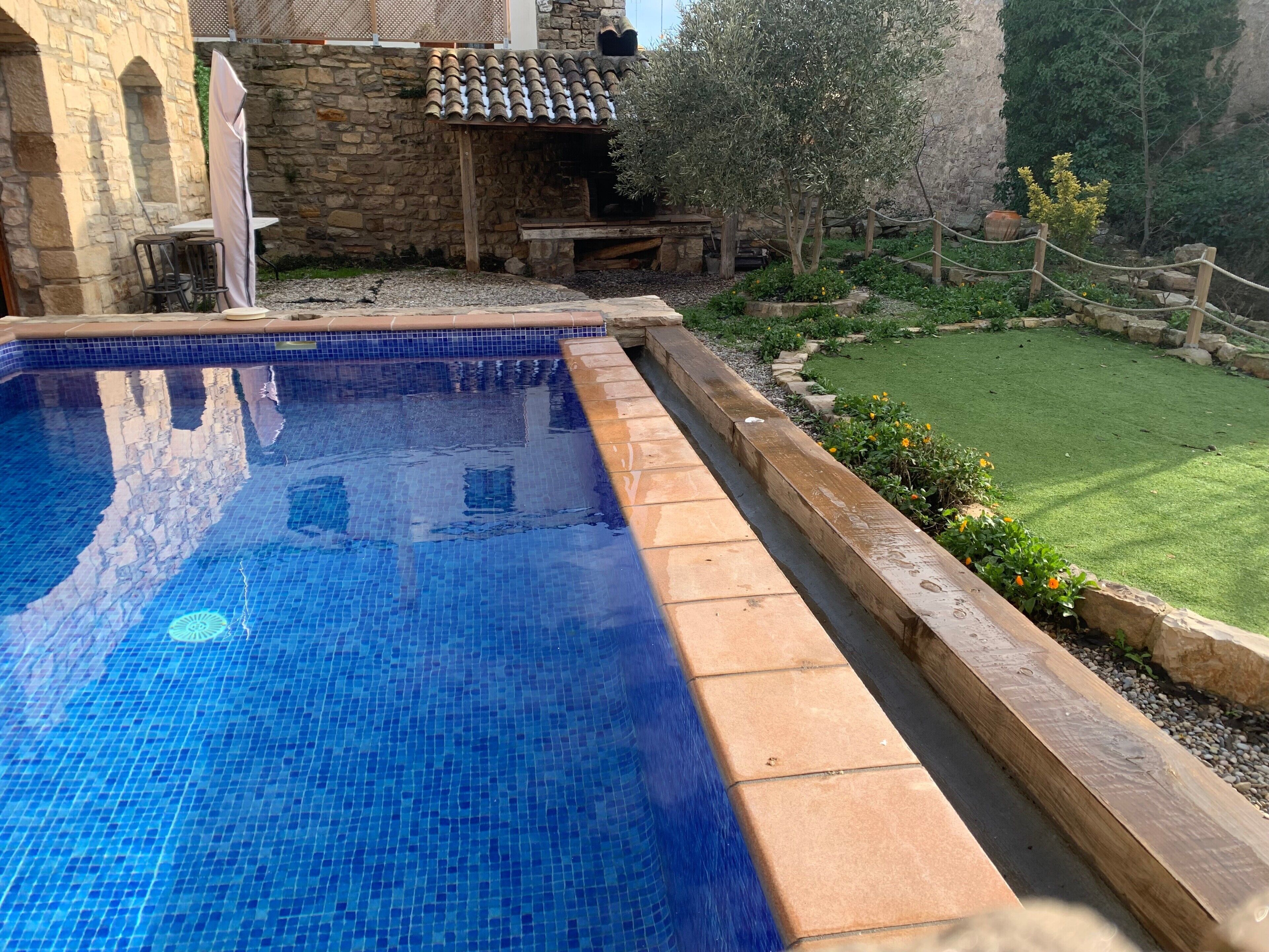 A swimming pool with a stone wall and a grassy area with plants.