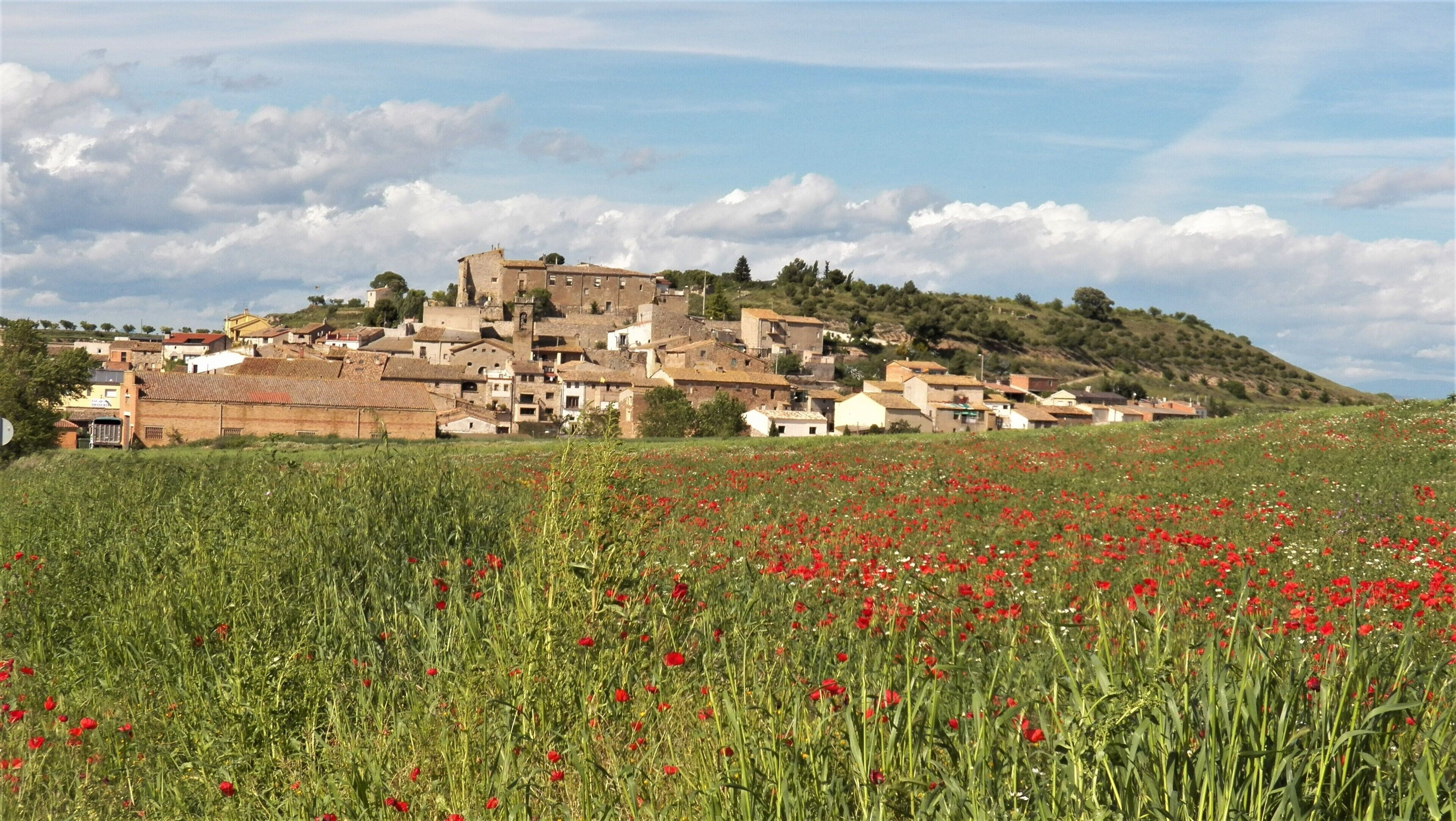 A historic village with traditional buildings, a hilltop church, and a field of red poppies.