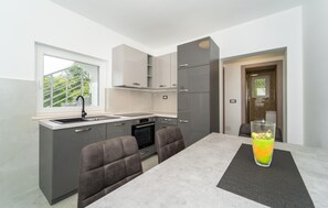 Fridge, oven, stovetop, dishwasher