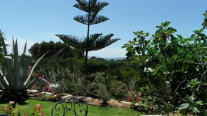Property grounds - luxueux appartement 68 m2 petite vue mer (Le Lavandou)