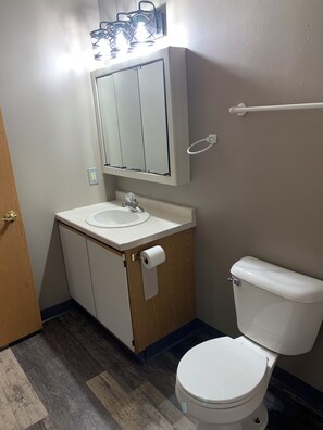 Hair dryer, towels, soap, toilet paper - 30 day rental apartment in Lake Delton area with AC, WiFi (Wisconsin Dells)