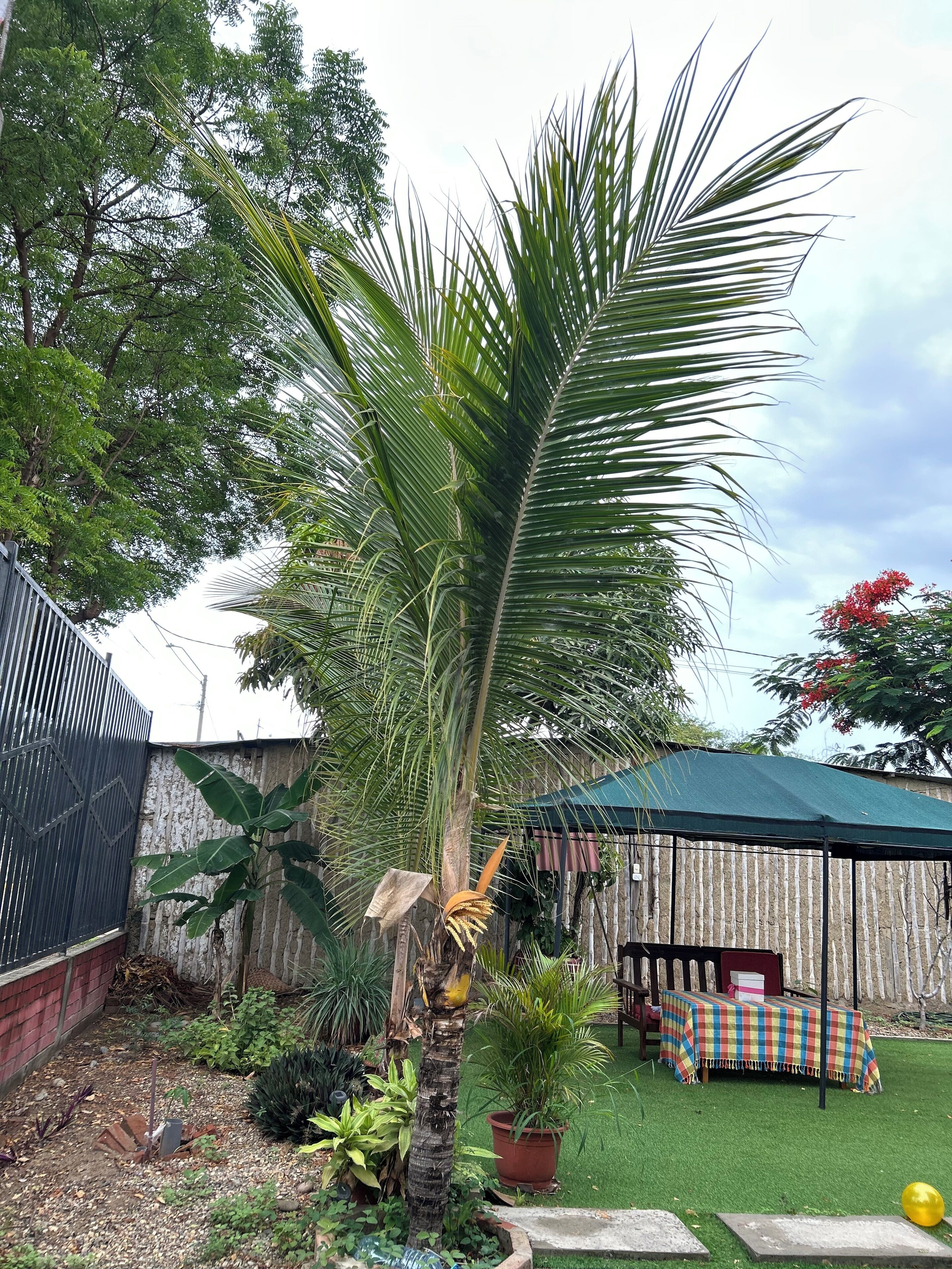 Áreas de la propiedad