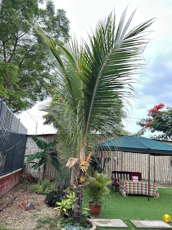 Property grounds. Villa Sol Country House