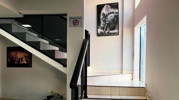 A staircase with a black handrail, a framed picture of a lion, and a no smoking sign on the wall. - Hotel ROF (Telemaco Borba)