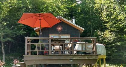 Tiny House Cabin in Livingston Manor, NY