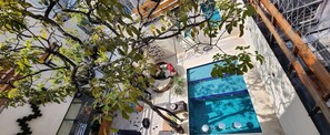 Un étroit couloir extérieur avec une piscine, des poutres en bois et un arbre.