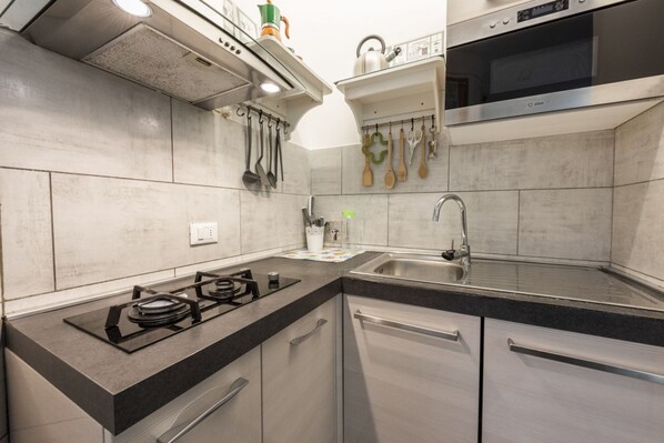 Fridge, microwave, stovetop, dishwasher