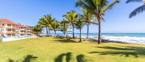A beachfront hotel with a pool, palm trees, and ocean views.