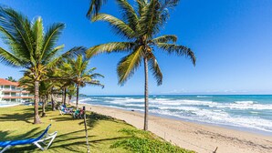A beach with palm trees, a sandy shore, and a view of the ocean. - Oceanfront Apartment in Cabarete With Pool and Beach Access (Sosúa)