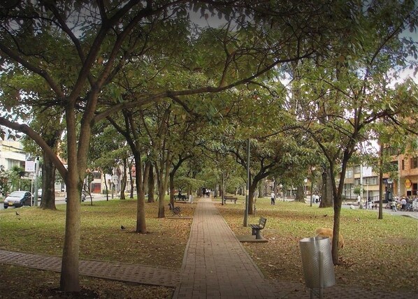 Stroll along the shaded park pathway lined with mature trees and benches.