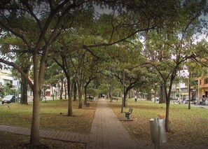 Imagen general