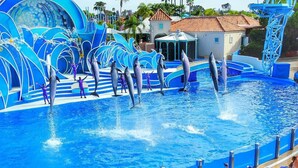 A dolphin show at a water park with a blue stage and audience in the foreground. - 3 Bed Home, A/C, Parking, Big Yard in Heart of SD (San Diego)