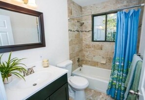 Shower, hair dryer