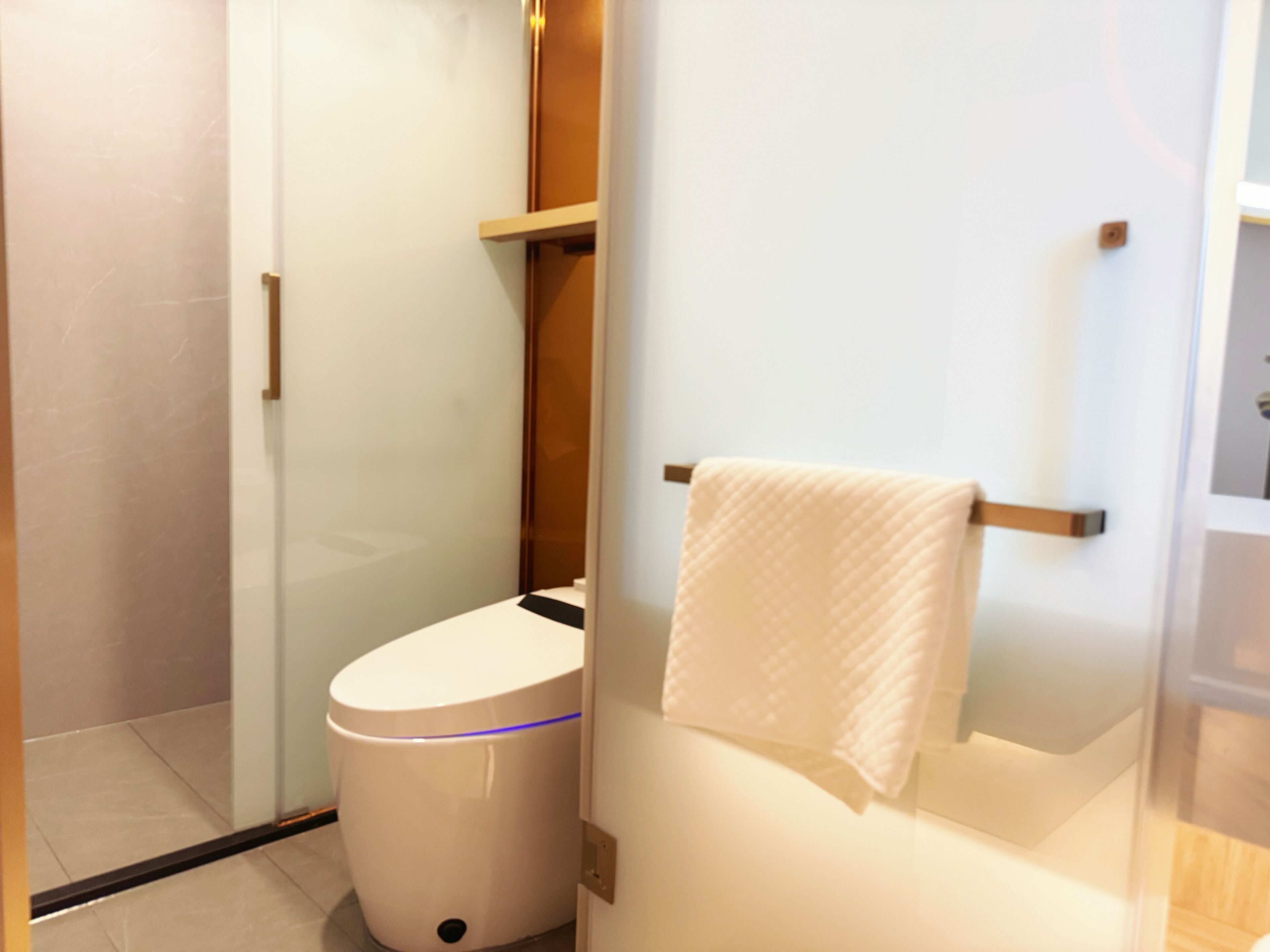 A modern bathroom with a toilet, a glass shower enclosure, and a towel rack.