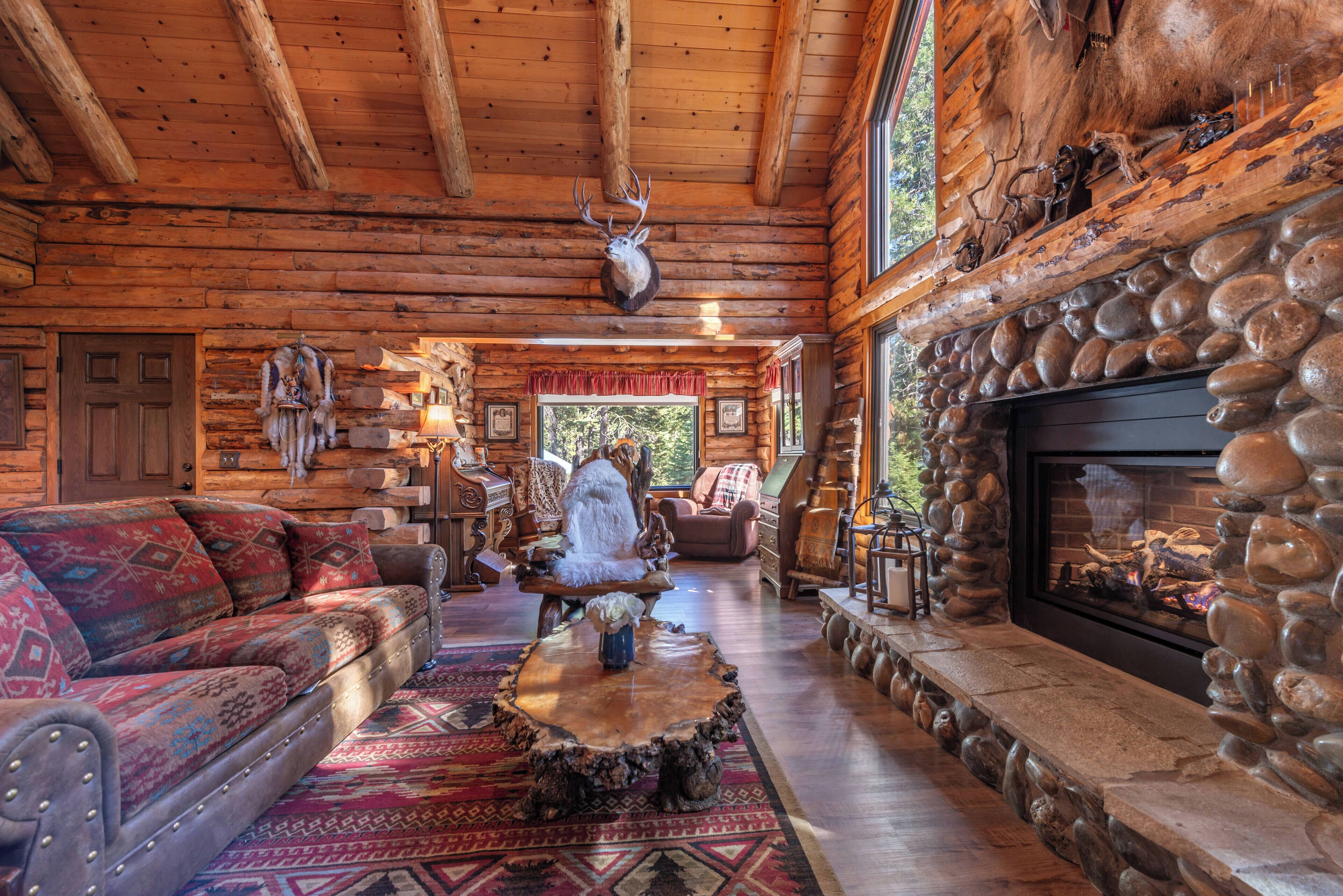TV, fireplace, books