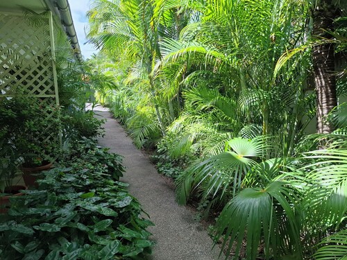 Tropical palm resort is a nice quiet and safe place to stay with friends or fam