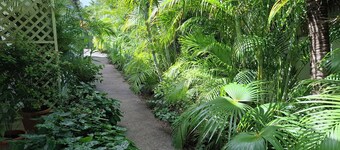 Tropical palm resort is a nice quiet and safe place to stay with friends or fam