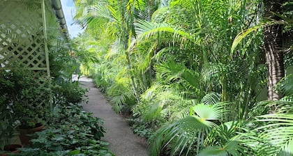 Tropical palm resort is a nice quiet and safe place to stay with friends or fam