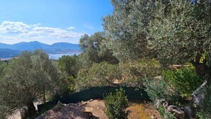 A mountainous landscape with olive trees and a view of a valley and distant mountains. - Super idyllic & antique villa with breathtaking sea view (Olmeto)