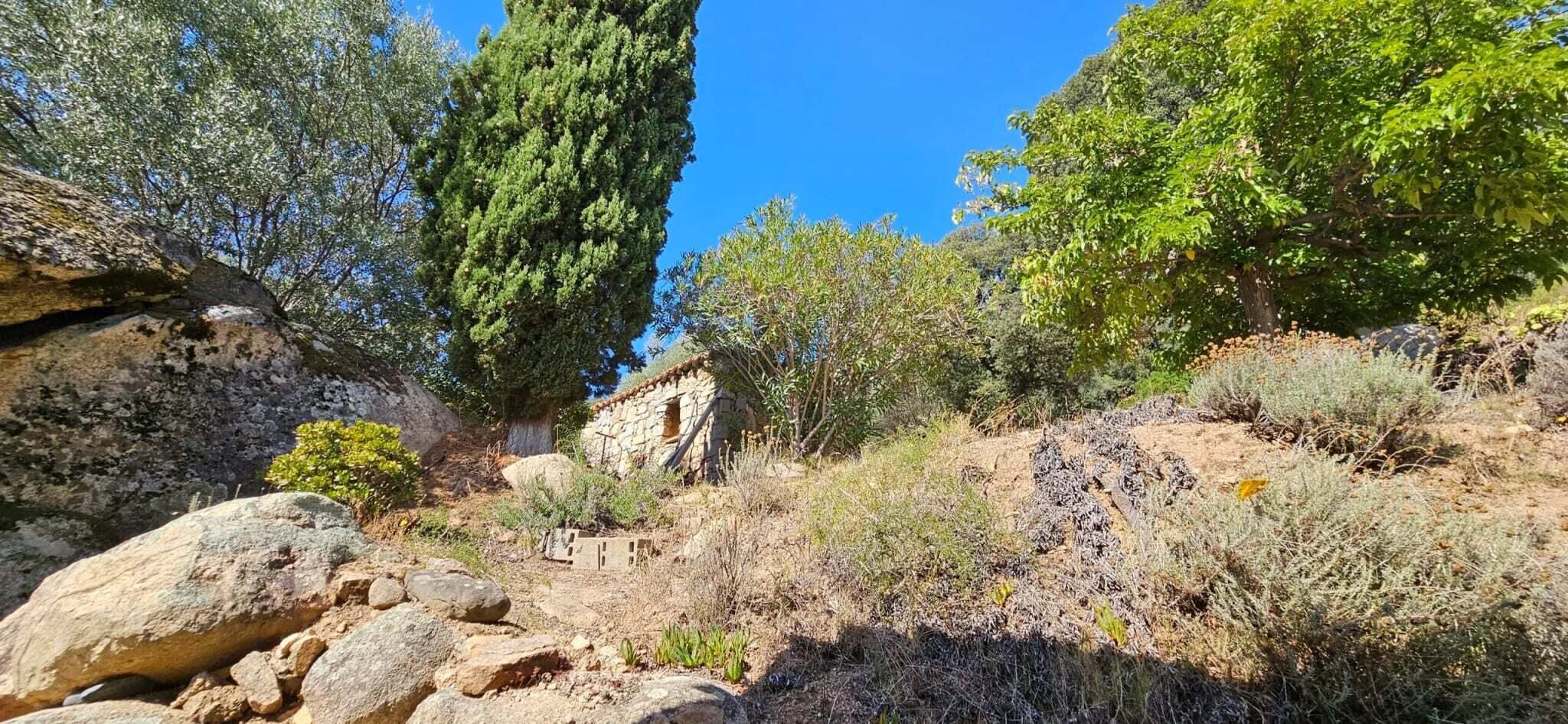 A stone building surrounded by dry vegetation and large rocks.