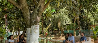 House with 4 bedrooms for 10 people with all the comfort you need!