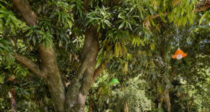 House with 4 bedrooms for 10 people with all the comfort you need!