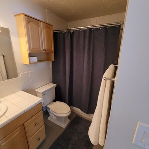 Hair dryer, towels, soap, toilet paper