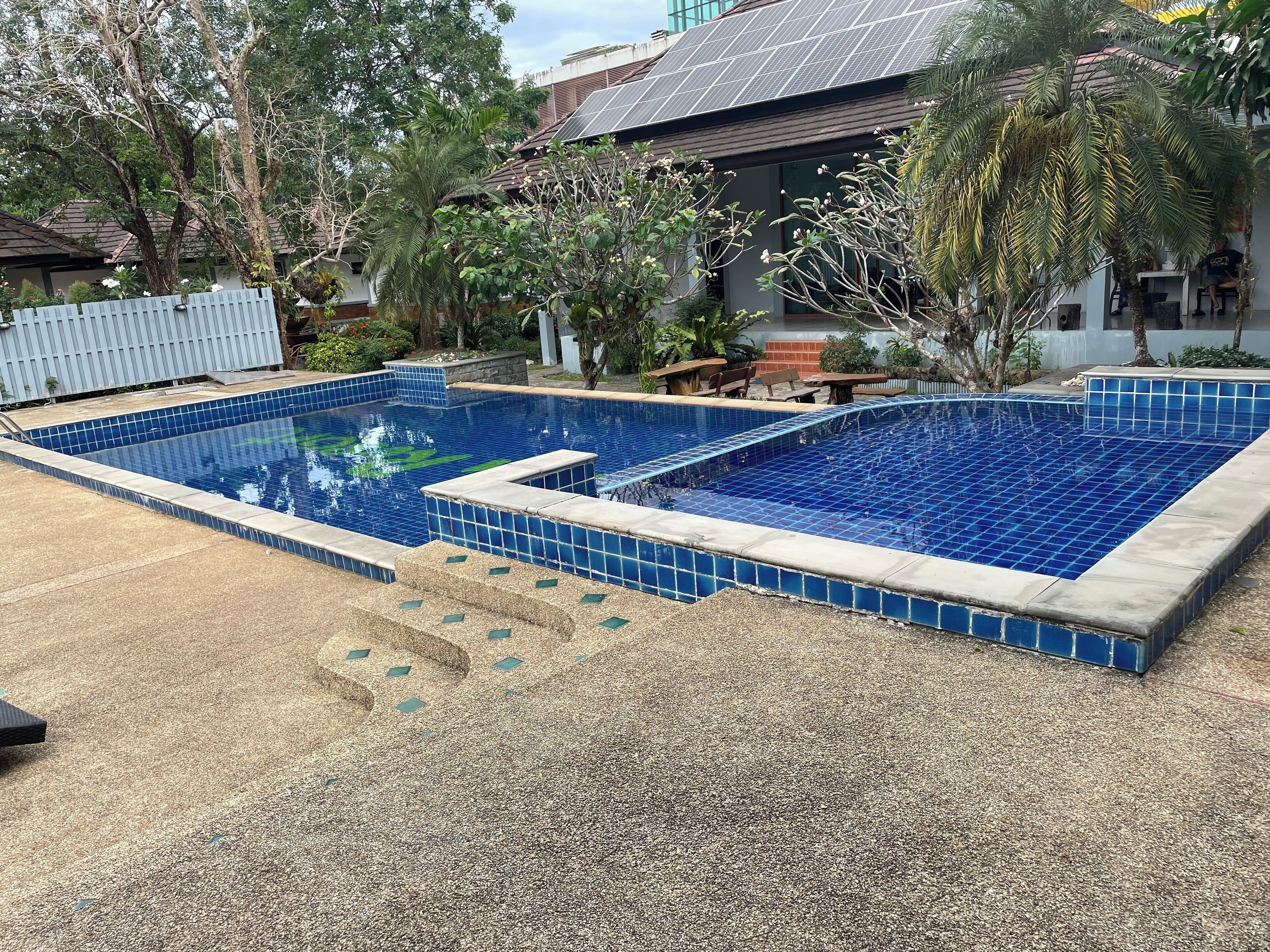 A rectangular swimming pool with blue tiles, surrounded by a gravel area and various plants.