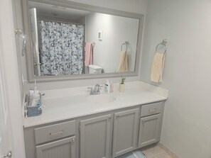 Jetted bath, hair dryer, towels, toilet paper - Not available (Cedar Falls)