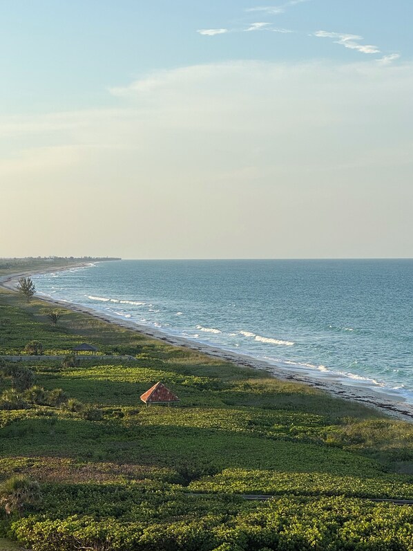 A coastal landscape with a beach, grassy areas, and a small structure near the water. - Direct oceanfront, corner balcony - amazing views ocean to river! On the beach! (Fort Pierce)