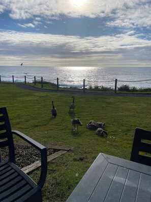 Outdoor dining - Breathtaking Oceanfront views at Whale point, Depoe Bay, Oregon 417C (Depoe bay)