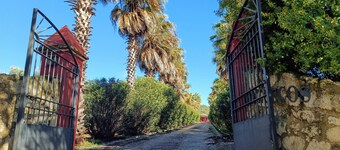 Mazuecos Rural House  - Beautiful 3 bedroom finca in Sevilla