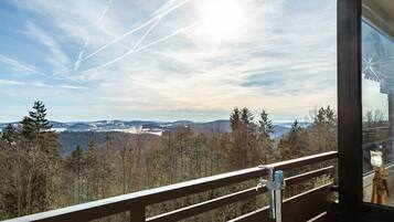 Ein Balkon mit Blick auf eine bewaldete Landschaft und ferne Berge.