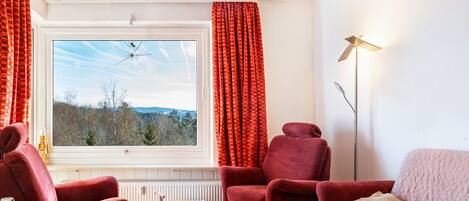 电视、电子游戏、DVD 播放器、乒乓球