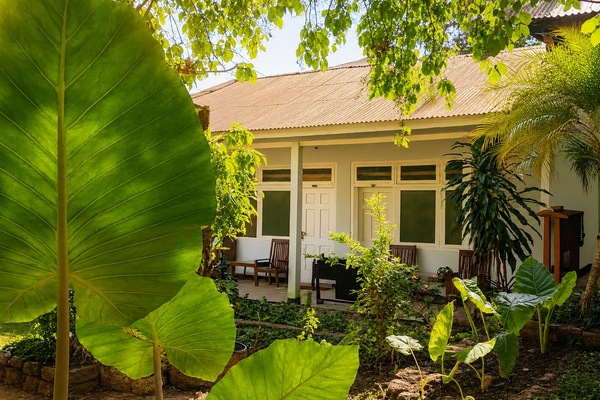 Kamar Double Standar, balkon, pemandangan kebun | Pemandangan halaman