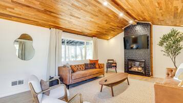 TV, fireplace, books