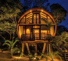 A wooden, circular structure with a balcony, surrounded by vegetation.