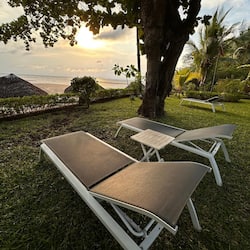 On the beach, sun loungers, beach umbrellas, beach towels