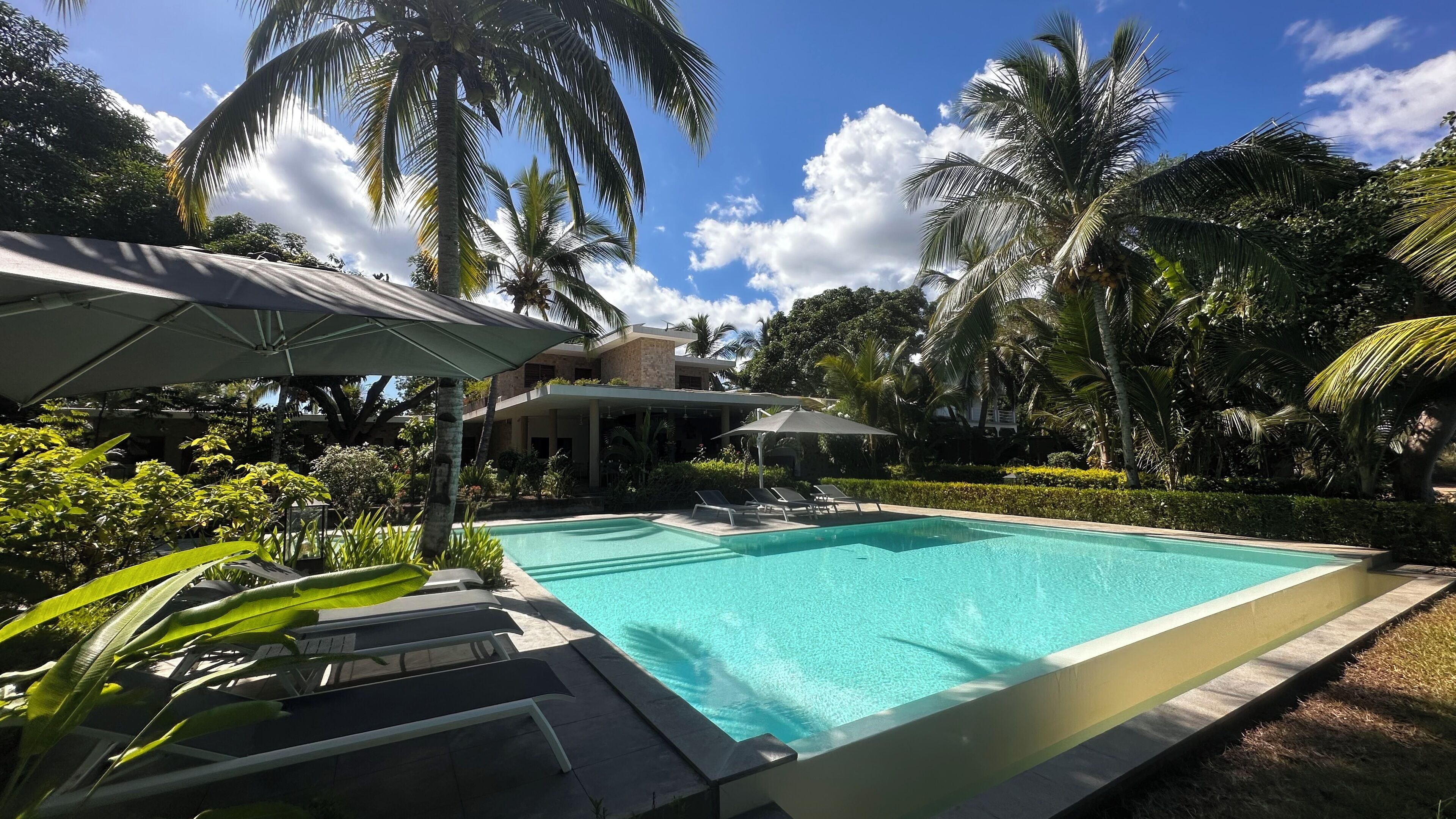Outdoor pool, pool umbrellas, sun loungers
